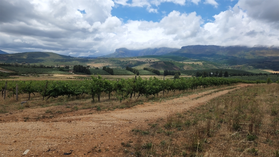 Commercial Property for Sale in Paarl Rural Western Cape